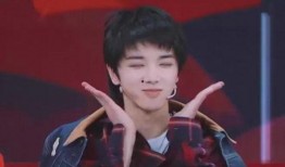 吃瓜娱乐圈华晨宇,瓜田里的音乐奇才