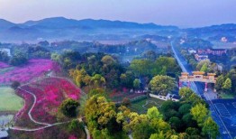 桃源最新爆料,最新爆料揭示神秘仙境的惊人真相